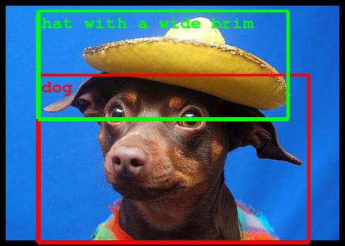 dog_with_hat